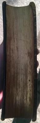 WP_20190513_16_27_17_Pro.jpg