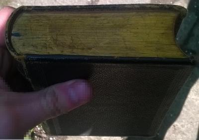 WP_20190513_16_27_21_Pro.jpg
