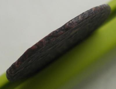 DSCN3255.JPG
