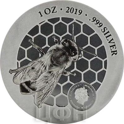 Камерун 1000 франков 2019 год «Пчела» (аверс).jpg