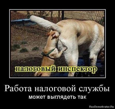 93e4554d0ed5560852bb8267f33f1cf8_i-1256.jpg