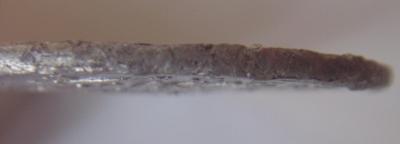 ST831790.JPG