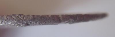 ST831791.JPG