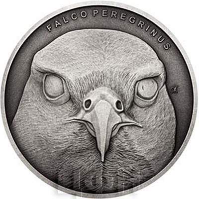 Ниуэ 1 доллар 2019 «FALCO PEREGRINUS» (реверс).jpg