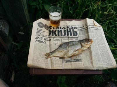 фальш 2.jpg