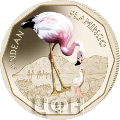 Британские Виргинские Острова 1 доллар 2019 год  «Фламинго» (реверс).jpg