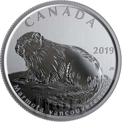 2019, Канада 50 центов «Marmota vancouverensis» (реверс).jpg