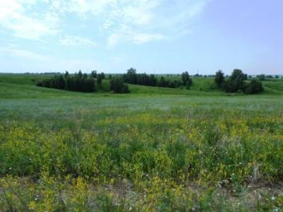 DSCN4387.JPG