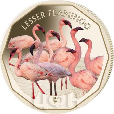 Британские Виргинские Острова 1 доллар 2019 год  «Фламинго» (реверс).jpg
