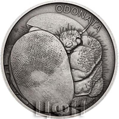 2019, Ниуэ 1$ «ODONATA» (реверс).jpg