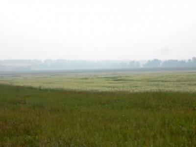 DSCN4477.JPG
