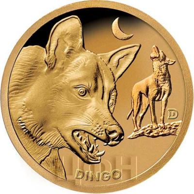 2019, Соломоновы острова 1 доллар «DINGO» (реверс).jpg