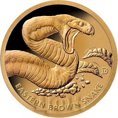 2019, Соломоновы острова 1 доллар «EASTERN BROWN SNAKE» (реверс).jpg
