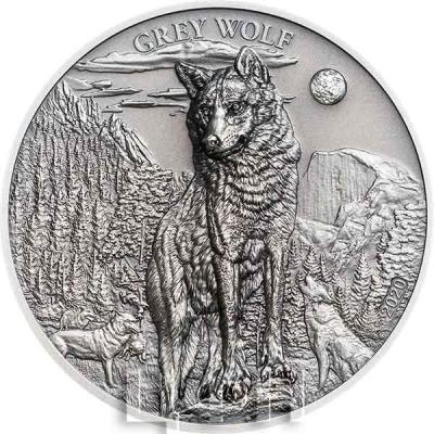 2020 Палау 5 долларов «GREY WOLF» (реверс).jpg
