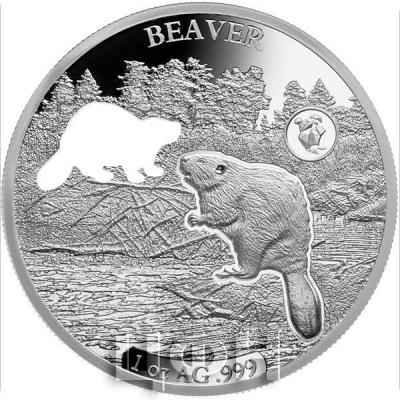 2019 год Барбадос 5 долларов (реверс).jpg