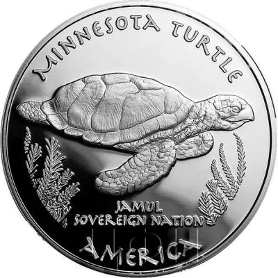 2019 год Native American Mint 1 доллар (реверс).jpg