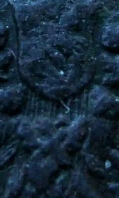 Screenshot_2019-09-23-21-52-04_1.jpg