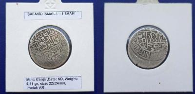 5d8f28d778d50_safavid_shahi_-_shah_ismayil_ganja_nd.thumb.jpg.95508f9e38ab6807d2e18b4ba75c3f00.jpg