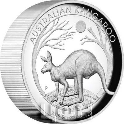 2019, Австралия  8$ «Australian Kangaroo » (реверс).jpg