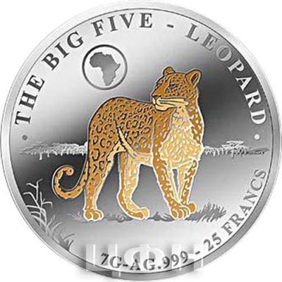 «THE BIG FIVE - LEOPARD».jpg