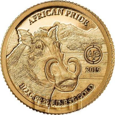 Нигер 100 франков 2019 год «AFRICAN PRIDE» (реверс).jpg