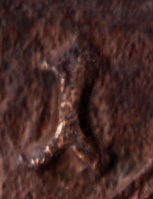 777.thumb.jpg.904fbec48edd1afd6ba987ee1bdaf2e2.jpg
