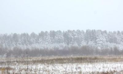 DSCN5492   Метель 30-31 октября.JPG