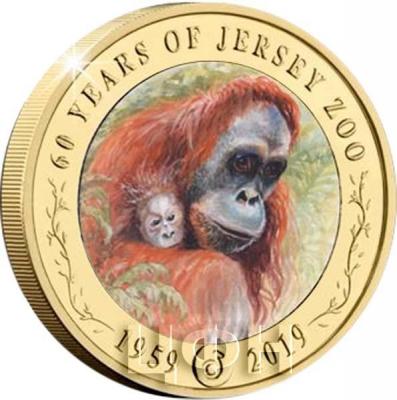 2 фунта Джерси 2019 год «Jersey Zoological Park» (реверс).jpg
