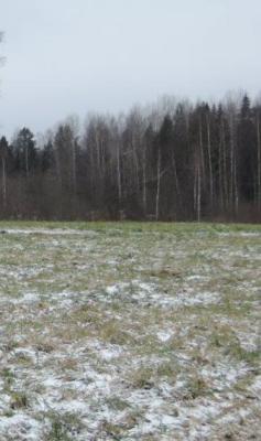 DSCN5523  На копе.JPG