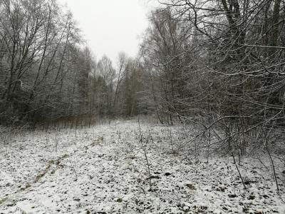 IMG_20191109_111116.jpg