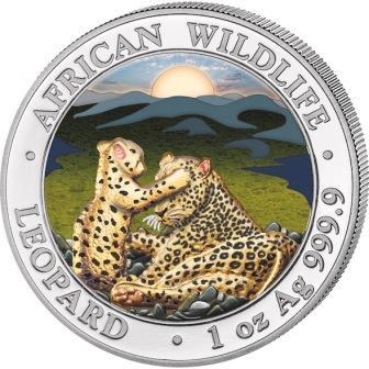 somali_100_shillingov_2019_leopard_tsvetnoi_(1).jpg.78a4d3eb36a10346377a9d4ecf13e8e3.jpg