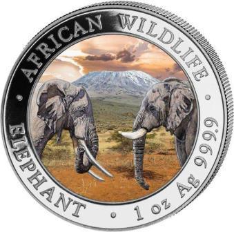 somali_100_shillingov_2020_slon_tsvetnaya_(1).jpg.d95f3308a4c1027bae117c0f63b758a3.jpg