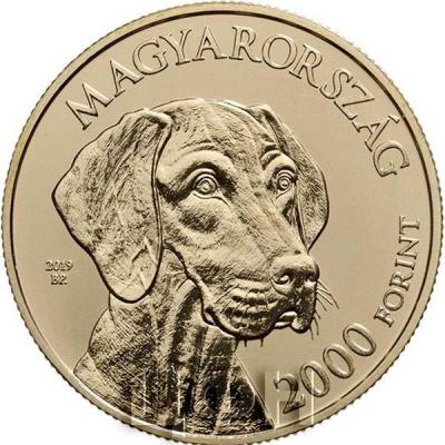 2019 год 2000 форинтов Венгрия «MAGYAR VIZSLA» (аверс).jpg