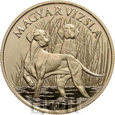 2019 год 2000 форинтов Венгрия «MAGYAR VIZSLA» (реверс).jpg