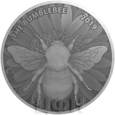 2019 Камерун 1000 франков «THE BUMBLEBEE» (реверс).jpg