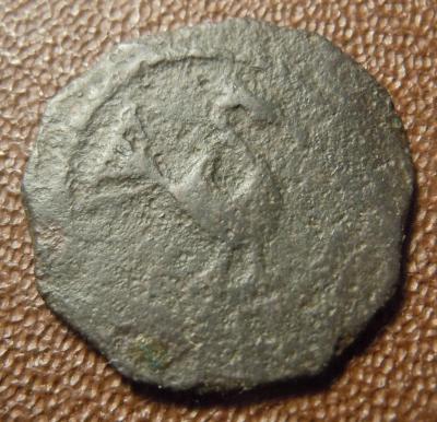 DSCN9586.JPG