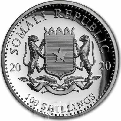 100 франков Сомали 2020 года «Слон» (аверс).jpg