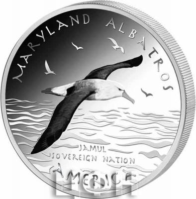 2019 год Native American Mint 1 доллар (реверс).jpg