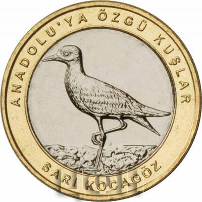 Турция 1 куруш 2019 год «SARI KOCAGÖZ» (реверс).jpg