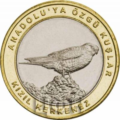 Турция 1 куруш 2019 год «KIZIL KERKENEZ» (реверс).jpg