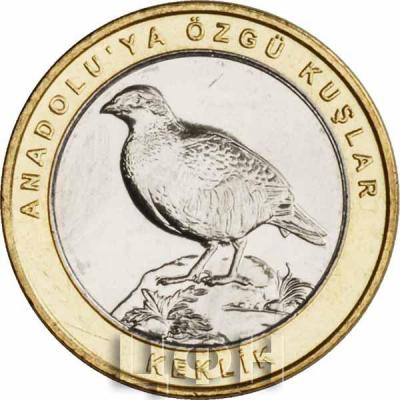 Турция 1 куруш 2019 год «KEKLİK» (реверс).jpg