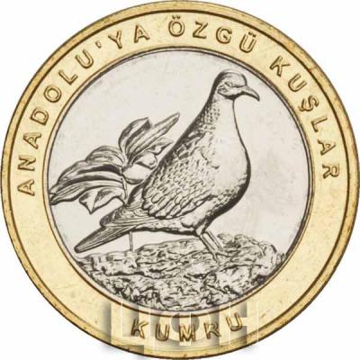 Турция 1 куруш 2019 год «KUMRU» (реверс).jpg
