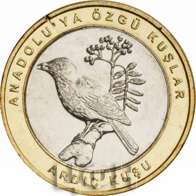 Турция 1 куруш 2019 год «ARDIÇ KUŞU» (реверс).jpg