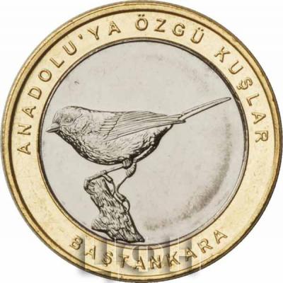 Турция 1 куруш 2019 год «BAŞTAN KARA» (реверс).jpg
