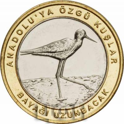 Турция 1 куруш 2019 год «BAYAĞI UZUNBACAK » (реверс).jpg