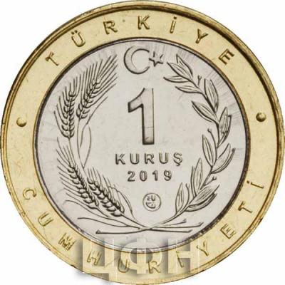 Турция 1 куруш 2019 год (аверс).jpg