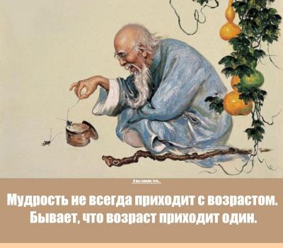dialogi.jpg