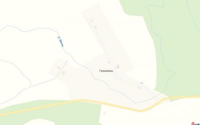 Гришманы.jpg