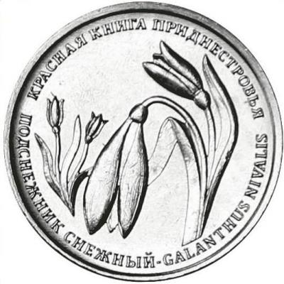 подснежник1.JPG