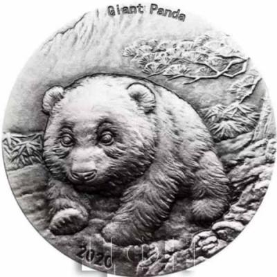 Палау 10 долларов 2020 год «GIANT PANDA» (реверс).jpg
